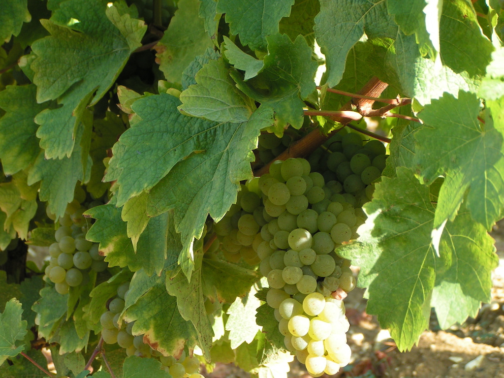 Les Chalets de Sancerre